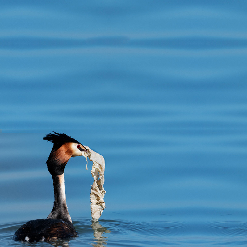 Gemeinsam gegen die Plastikflut