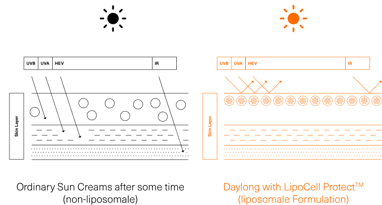 Liposomaler Sonnenschutz verbessert den Hautschutz durch ein spezielles chemisches Transportsystem.