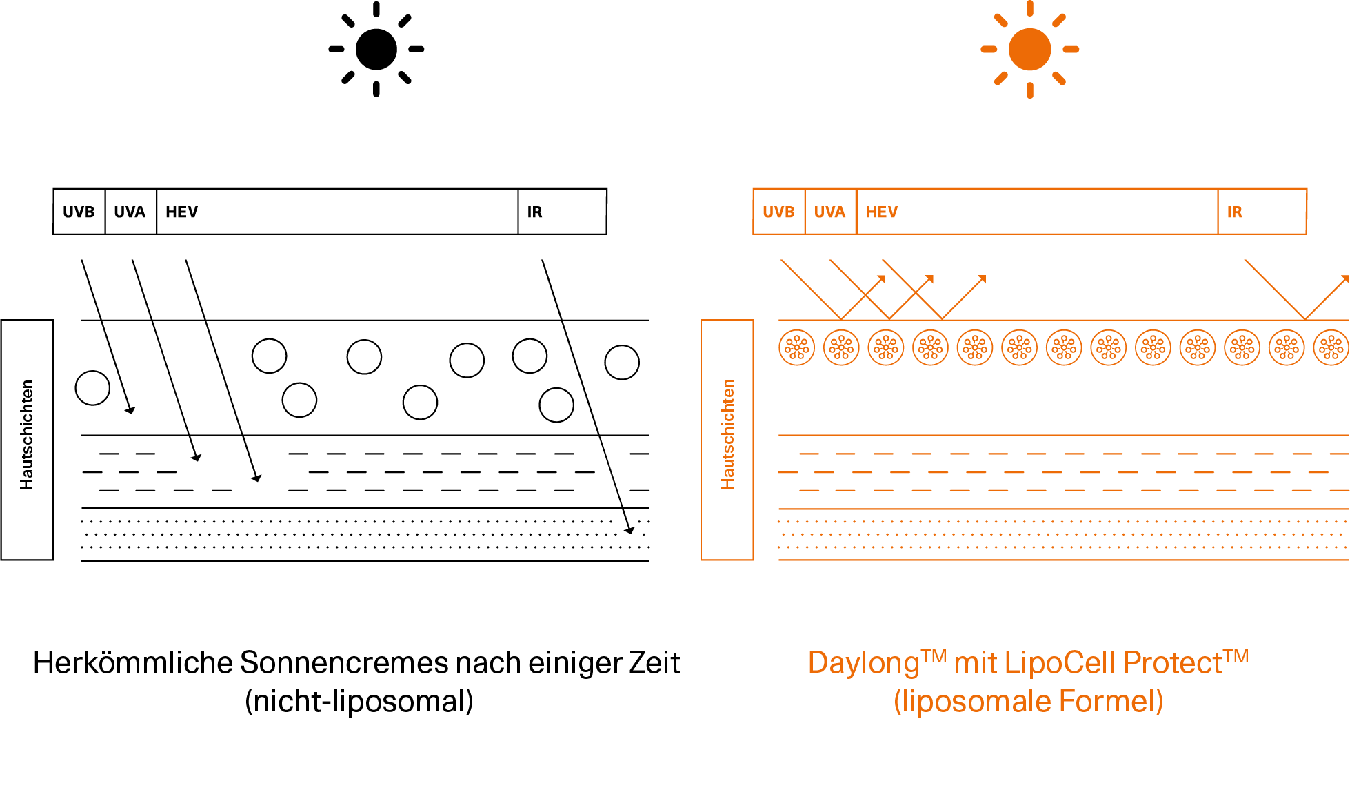 Daylong LipoCell Daylong LipoCell Grafik